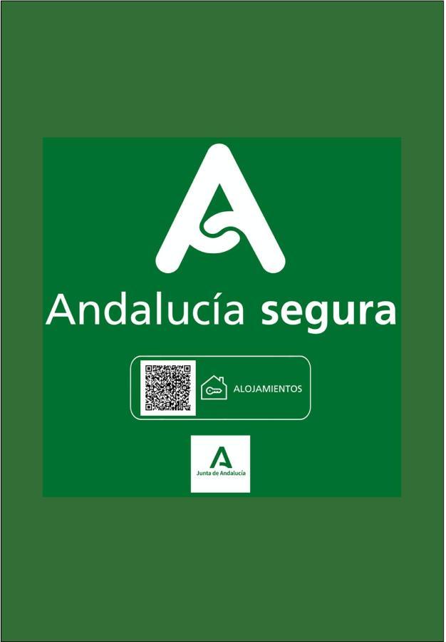 Holidays2Malaga junto Catedral Apartment Bagian luar foto